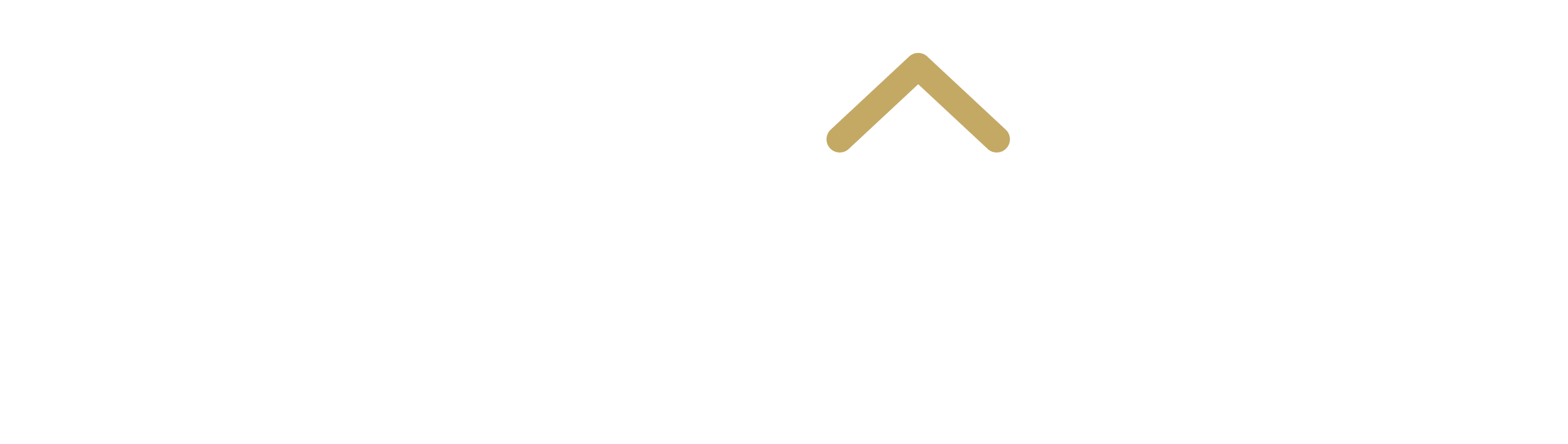 Elementa homes logo white